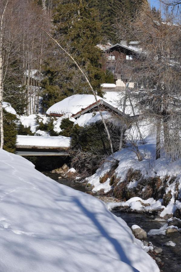 Appartement Chalet Louison Les Gets Buitenkant foto
